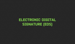 Electronic digital signature (EDS)