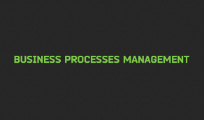 Business processes management